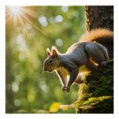 POSTER ポスター (正面)