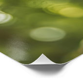 POSTER ポスター (コーナー)