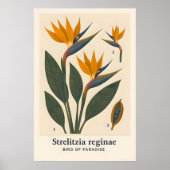 Poster ポスター (正面)