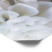 Poster ポスター (コーナー)