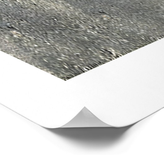 Poster ポスター (角)