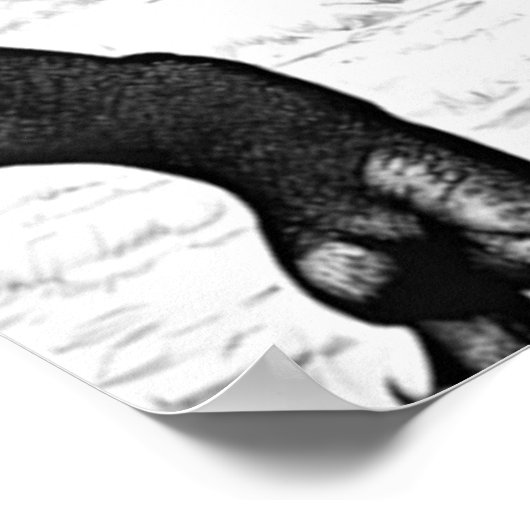 Poster ポスター (角)