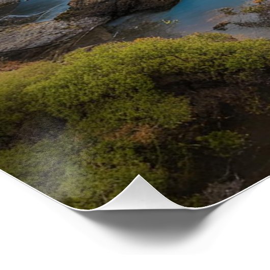 POSTER ポスター (コーナー)