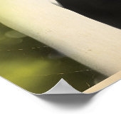 Poster ポスター (角)