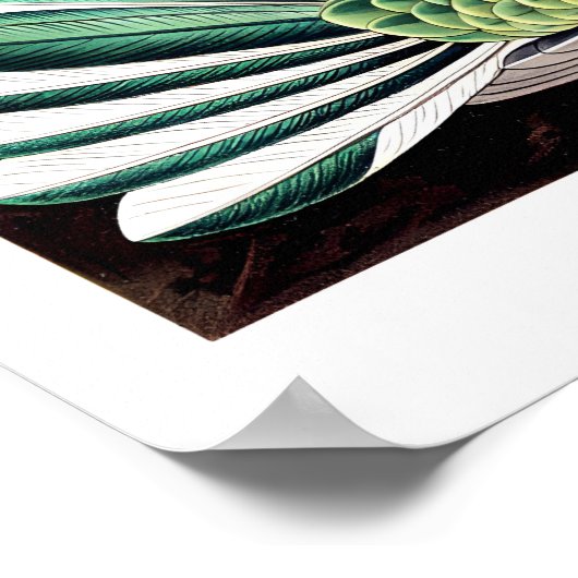 Poster ポスター (角)