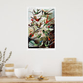 Poster ポスター (キッチン)