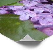 POSTER – リラックin春 – フランス ポスター (角)