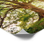 poster Arvore da Vida ポスター (角)