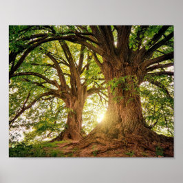 poster Arvore da Vida ポスター