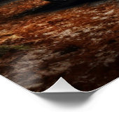 Poster Auto série 4-7 ポスター (コーナー)