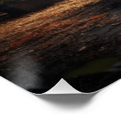 Poster Auto série 4-8 ポスター (コーナー)