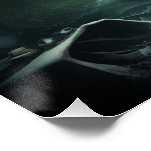 Poster Auto série 5-2 ポスター (コーナー)