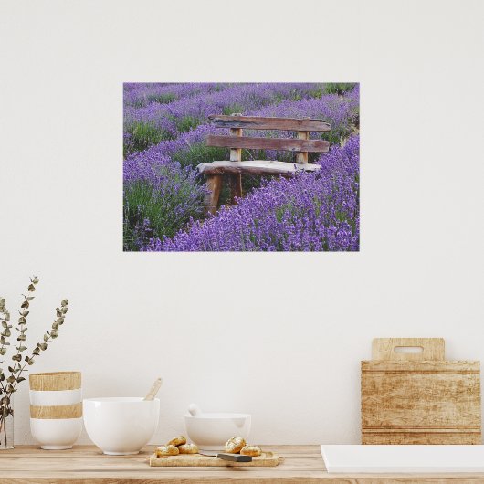 Poster banc dans la lavande ポスター (キッチン)