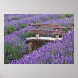 Poster banc dans la lavande ポスター