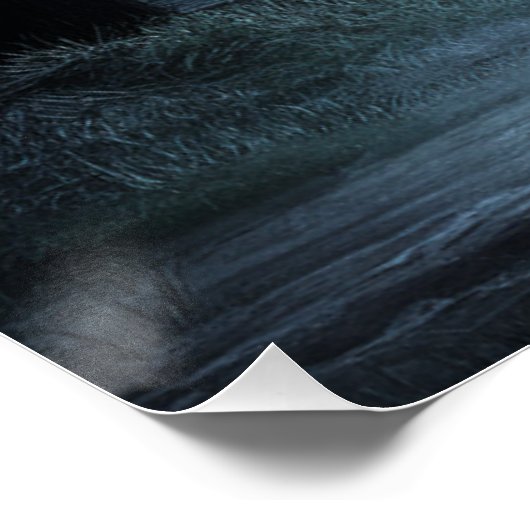 Poster Black Cat and Rat 05 ポスター (コーナー)