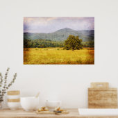 Poster - Cades Cove Tree - Great Smoky Mt. Nat'l P ポスター (キッチン)