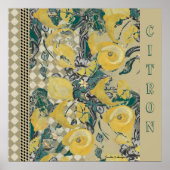 Poster Citron ポスター (正面)