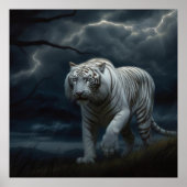 Poster Croc Blanc ポスター (正面)