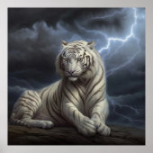 Poster Croc Blanc ポスター (正面)