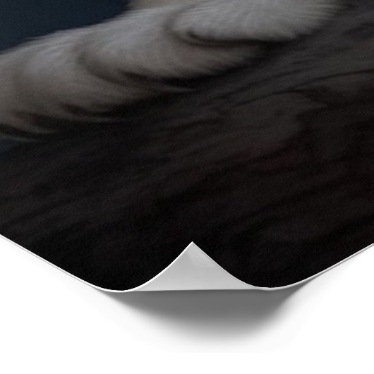 Poster Croc Blanc ポスター (角)