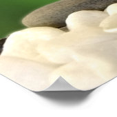 Poster de papel con objetos de spa ポスター (角)