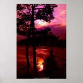 POSTER DSC_9022_sunset at Pease Reserve ポスター (正面)