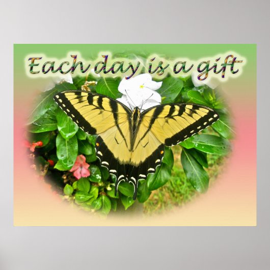 Poster Eastern Tiger Swallowtail Butterfly ポスター (正面)