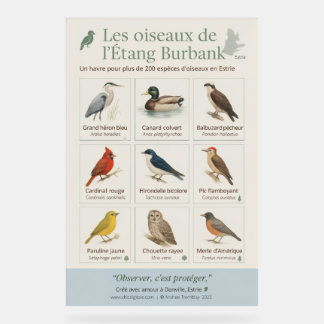 Poster éducatif – Les oiseaux de l’Étang Burbank ( アクリルサイン