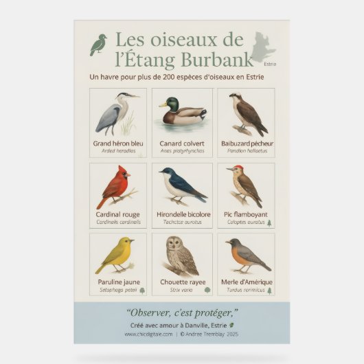 Poster éducatif – Les oiseaux de l’Étang Burbank ( アクリルサイン (正面)