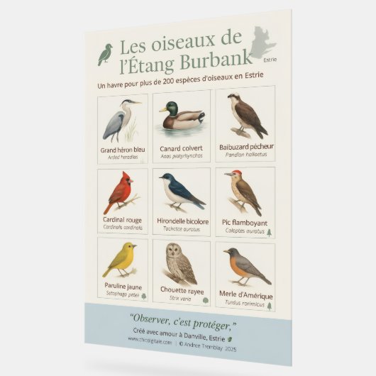 Poster éducatif – Les oiseaux de l’Étang Burbank ( アクリルサイン (傾斜)