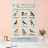 Poster éducatif – Les oiseaux de l’Étang Burbank ( アクリルサイン (ウェディング)