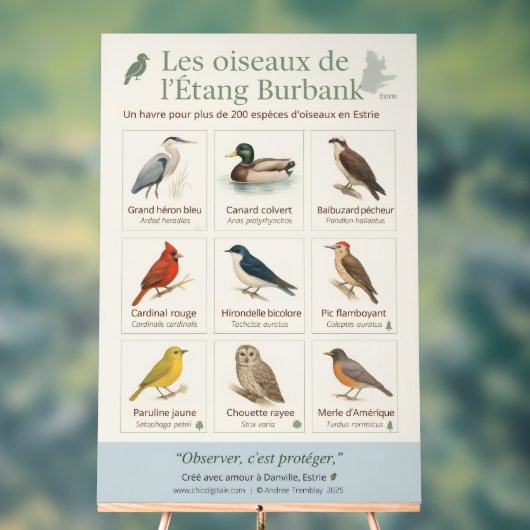 Poster éducatif – Les oiseaux de l’Étang Burbank ( アクリルサイン (ニュートラル)