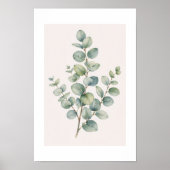 Poster Eucalyptus ポスター (正面)