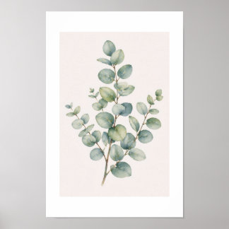 Poster Eucalyptus ポスター