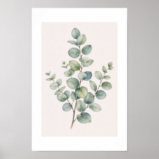 Poster Eucalyptus ポスター (正面)