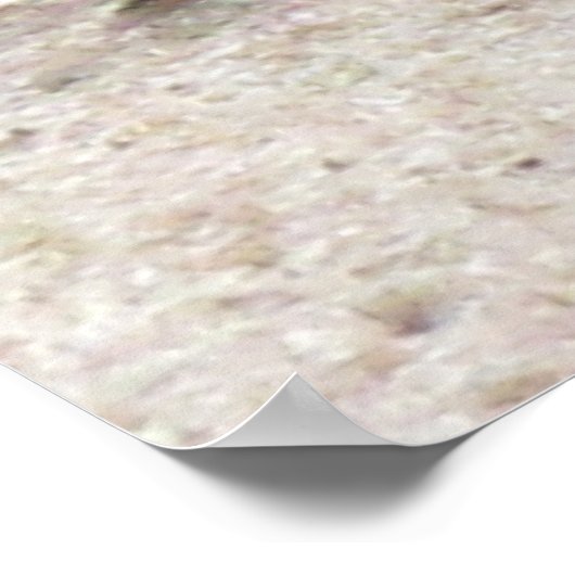 Poster - Fly on the Wall ポスター (角)