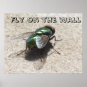 Poster - Fly on the Wall ポスター (正面)