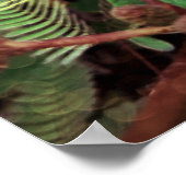 Poster Folhas ポスター (角)