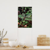 Poster Folhas ポスター (キッチン)