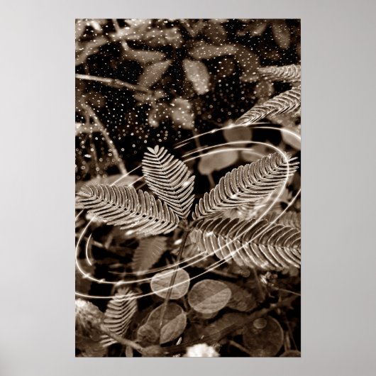 Poster Folhas - Green ポスター (正面)