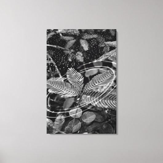 Poster Folhas - P&B キャンバスプリント (正面)