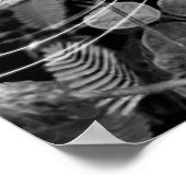 Poster Folhas - P&B ポスター (角)