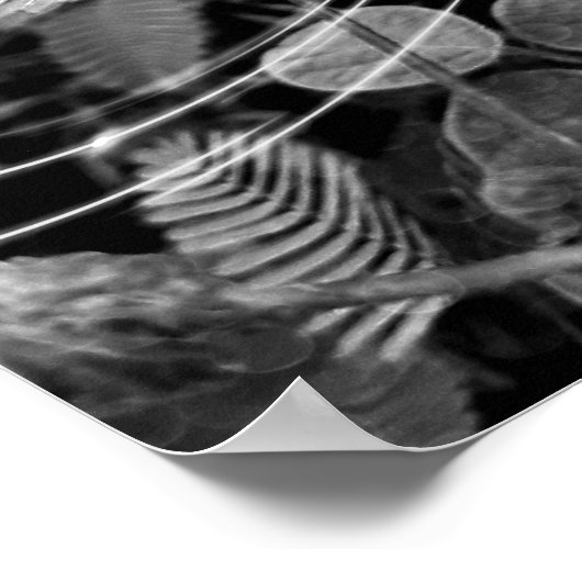 Poster Folhas - P&B ポスター (角)