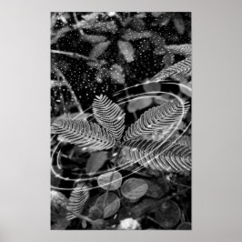 Poster Folhas - P&B ポスター