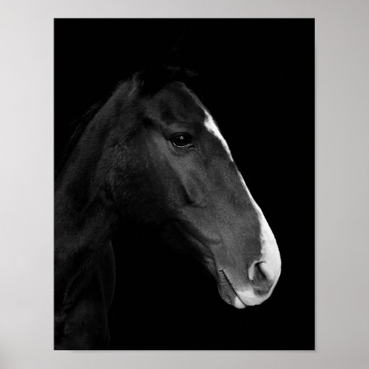 Póster, fotografía caballo blanco y negro. ポスター (正面)