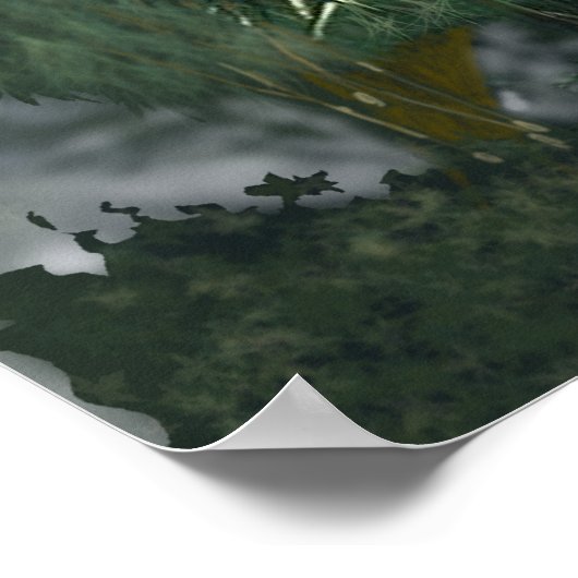 Poster - Fox at The River ポスター (角)