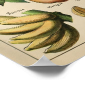 Poster Fruta Adolphe Millot Le Larousse Pour Tous ポスター (角)