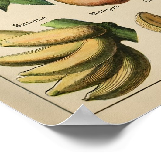 Poster Fruta Adolphe Millot Le Larousse Pour Tous ポスター (角)