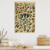 Poster Fruta Adolphe Millot Le Larousse Pour Tous ポスター (キッチン)
