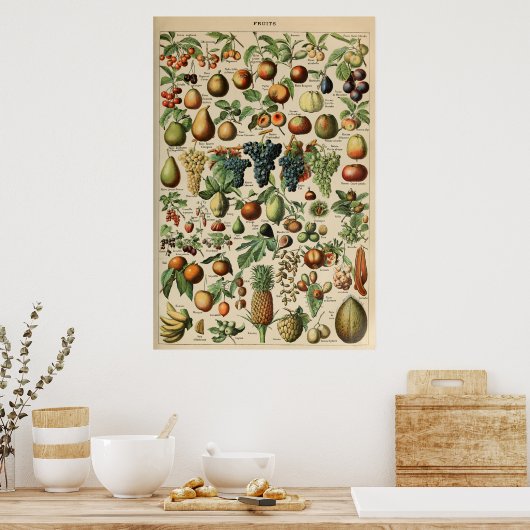 Poster Fruta Adolphe Millot Le Larousse Pour Tous ポスター (キッチン)